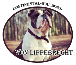 Continental Bulldog