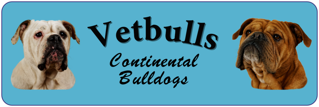 Continental Bulldog